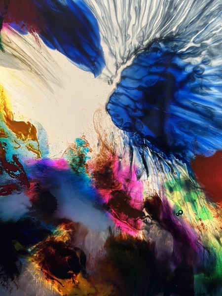 Das Bild zeigt eine Detailaufnahme der bunten hinterleuchteten Meeresszene.